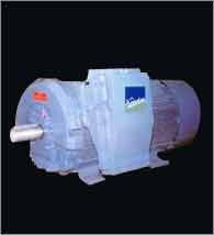 Large AC Induction Motors